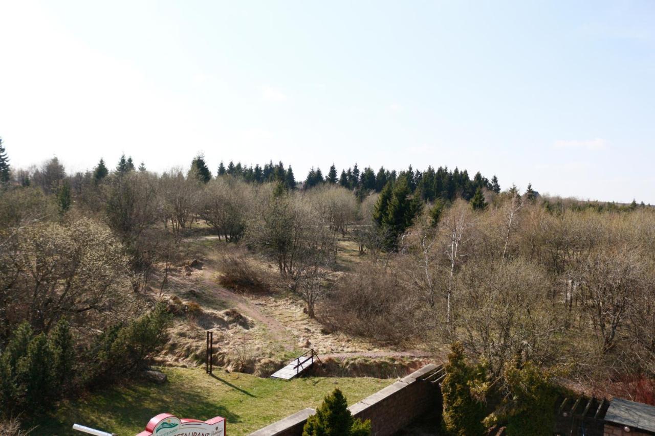 Hotel Lugsteinhof Altenberg  Zewnętrze zdjęcie