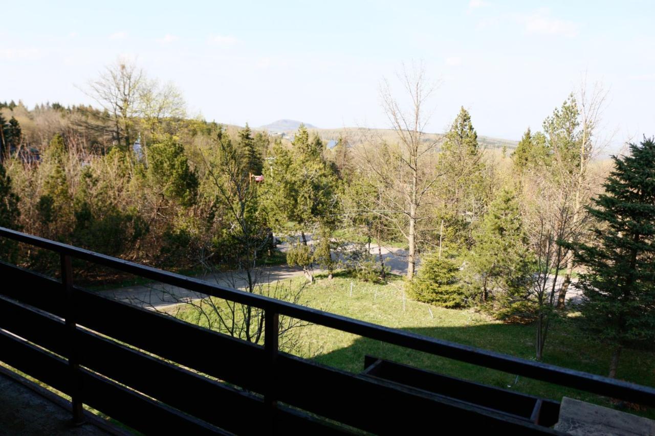 Hotel Lugsteinhof Altenberg  Zewnętrze zdjęcie