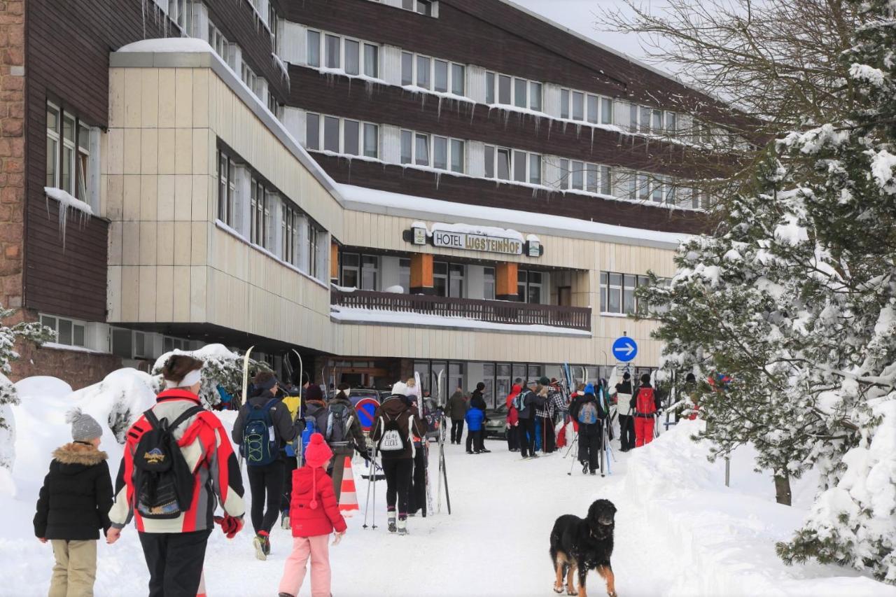 Hotel Lugsteinhof Altenberg  Zewnętrze zdjęcie